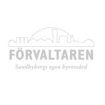 logo design art director